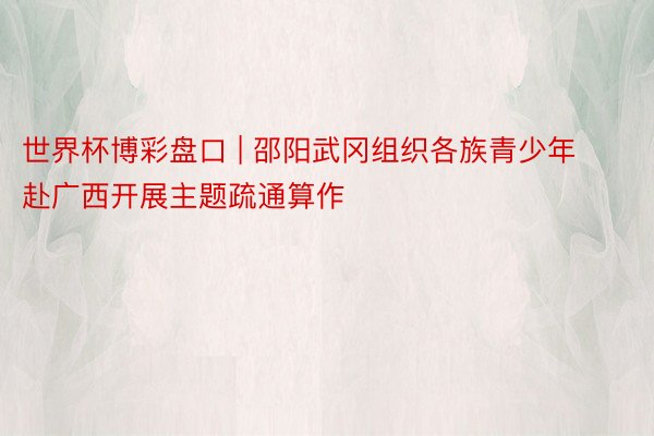 世界杯博彩盘口 | 邵阳武冈组织各族青少年赴广西开展主题疏通算作